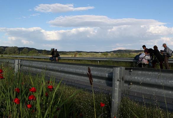 Το Υπουργείο απέσπασε την αρμοδιότητα που είχε αναθέσει στις Επιτροπές επειδή οι αποφάσεις τους δεν εναρμονίστηκαν με το πλαίσιο της Κοινής Δήλωσης ΕΕ-Τουρκίας.
