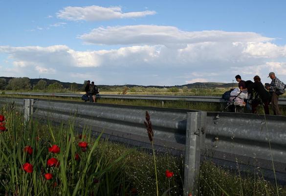 Το Υπουργείο απέσπασε την αρμοδιότητα που είχε αναθέσει στις Επιτροπές επειδή οι αποφάσεις τους δεν εναρμονίστηκαν με το πλαίσιο της Κοινής Δήλωσης ΕΕ-Τουρκίας.