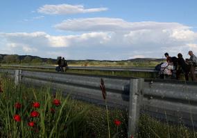 Το Υπουργείο απέσπασε την αρμοδιότητα που είχε αναθέσει στις Επιτροπές επειδή οι αποφάσεις τους δεν εναρμονίστηκαν με το πλαίσιο της Κοινής Δήλωσης ΕΕ-Τουρκίας.